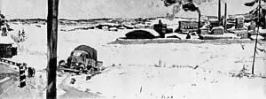 Вот лесной домик В огромных валенках в одной рубашке и с кошкой в руках - фото 8