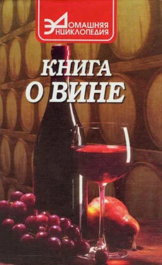 Сергей Галкин О вине обложка книги