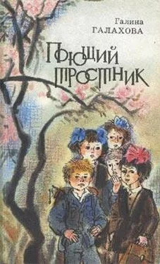 Галина Галахова Поющий тростник обложка книги