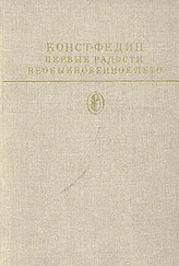 Константин Федин - Необыкновенное лето