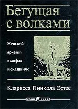 Кларисса Пинкола Эстес Бегущая с волками. Женский архетип в мифах и сказаниях обложка книги