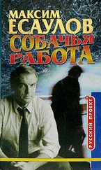 Максим Есаулов - Мгновения капитана Громова