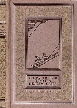 Владимир Дружинин Тропа Селим-хана обложка книги