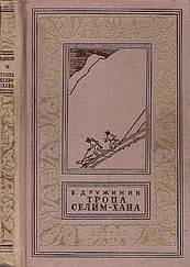 Владимир Дружинин - Кто сказал, что я убит?