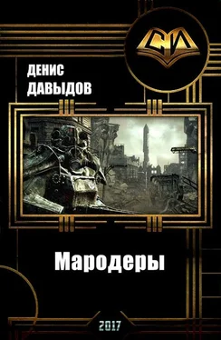 Денис Давыдов Мародеры (СИ) обложка книги