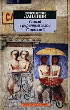 Джеймс Данливи Самый сумрачный сезон Сэмюэля С обложка книги