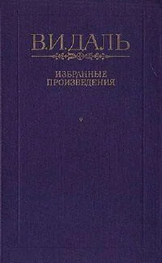 Владимир Даль Вакх Сидоров Чайкин, или Рассказ его о собственном своем житье-бытье, за первую половину жизни своей обложка книги