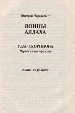 Дмитрий Черкасов Воины аллаха. Удар скорпиона обложка книги