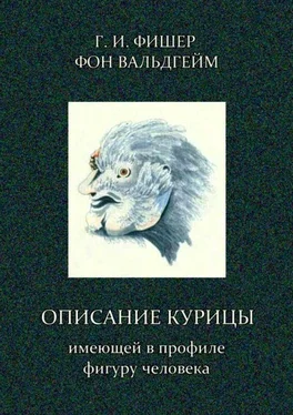 Григорий Фишер фон Вальдгейм Описание курицы, имеющей в профиле фигуру человека обложка книги