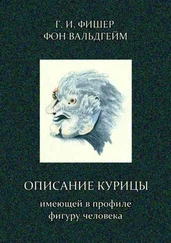 Григорий Фишер фон Вальдгейм - Описание курицы, имеющей в профиле фигуру человека
