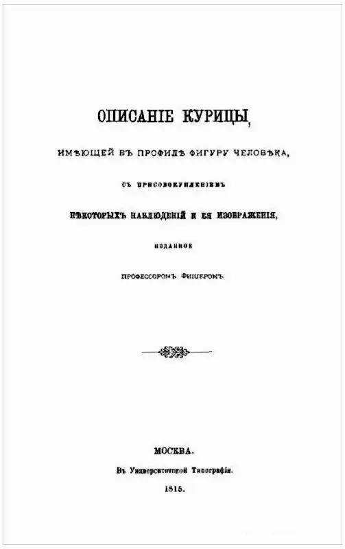 Никогда курица не обращала на себя такого всеобщаго внимания никогда животное - фото 3