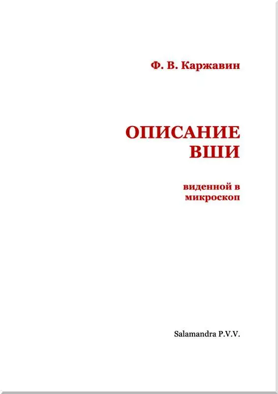 Господину К Беллини профессору университета Вильямсбурга в Виргинии - фото 2