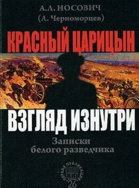 Анатолий Носович Красный Царицын. Взгляд изнутри [Записки белого разведчика] обложка книги