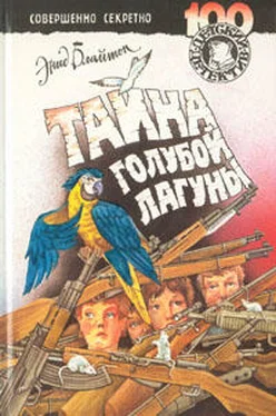 Энид Блайтон Тайна голубой лагуны обложка книги