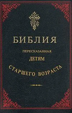 Библия Библия, пересказанная детям старшего возраста обложка книги