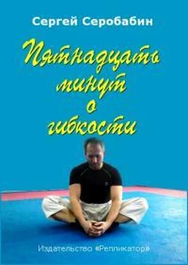 Сергей Серобабин Пятнадцать минут о гибкости [СИ] обложка книги