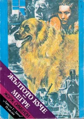 Жорж Сименон - Жълтото куче