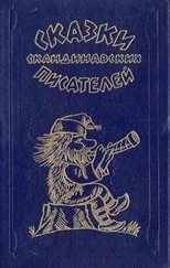 Петер Асбьерсен - Вечер в соседской усадьбе