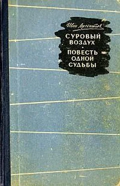 Иван Арсентьев Суровый воздух обложка книги