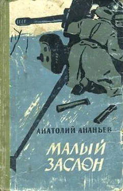 Анатолий Ананьев Малый заслон обложка книги