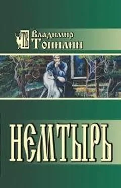 Владимир Топилин Немтырь обложка книги
