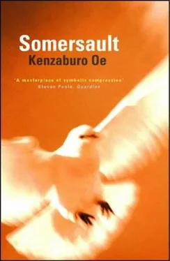Kenzaburo Oe Somersault обложка книги