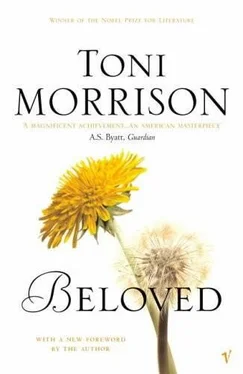 Toni Morrison Beloved обложка книги