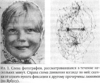 С помощью специальных приборов можно сделать видимым движение глаз по объекту - фото 1