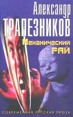 Александр Трапезников Механический рай обложка книги