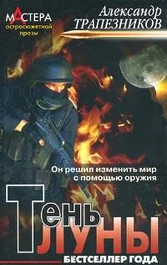 Александр Трапезников Тень луны обложка книги