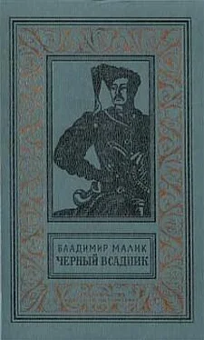 Владимир Малик Чёрный всадник обложка книги