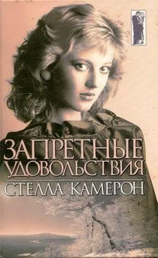 Стелла Камерон Запретные удовольствия обложка книги