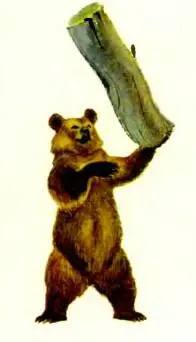 Ай да Мишутка подумал я Молодчина Настоящий талант истинный самородок - фото 23