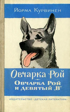 Йорма Курвинен Овчарка Рой. Овчарка Рой и девятый В обложка книги