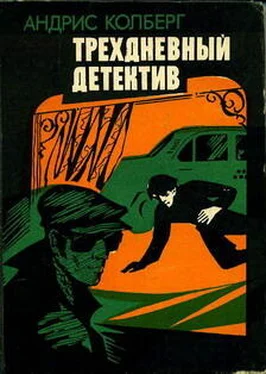 Андрис Колбергс Трехдневный детектив обложка книги