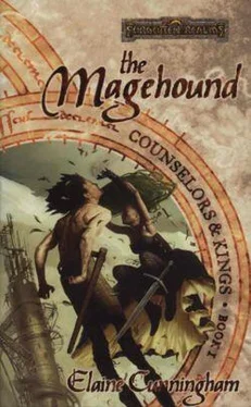 Элейн Каннингем The Magehound обложка книги