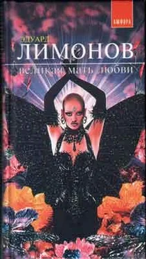 Эдуард Лимонов Виликая мать любви (рассказы) обложка книги