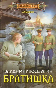 Владимир Поселягин Братишка [СИ] обложка книги