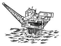 Food is also plentiful as the ocean provides a nutritious and some would - фото 56