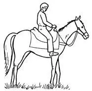 B The Bicycle In a class by itself this vehicle offers the best of both - фото 66