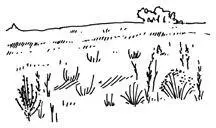 2 PLAINS Vast open areas provide great visibility allowing full use of - фото 79