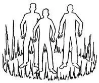 10 THE FIRESTORM Provided the blaze can be controlled the area in question is - фото 89