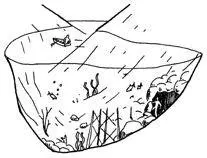 C Consider Drainage Why place your team in a hostile environment if that - фото 91