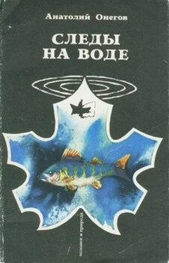 Анатолий Онегов Следы на воде обложка книги