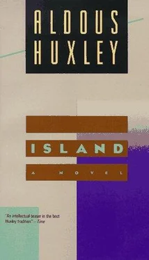 Aldous Huxley Island обложка книги