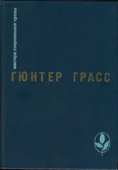 Гюнтер Грасс - Под местным наркозом