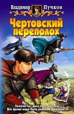 Владимир Пучков Чертовский переполох обложка книги