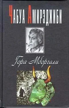 Чабуа Амирэджиби Гора Мборгали обложка книги