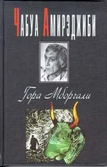 Чабуа Амирэджиби - Гора Мборгали