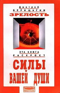 Дмитрий Верищагин Зрелость обложка книги